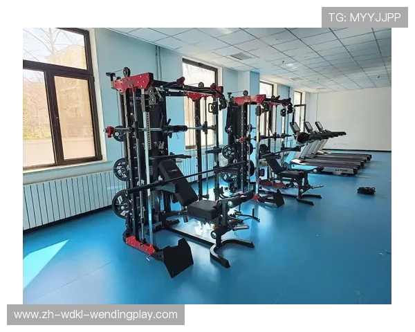 高性价比健身器材品牌推荐，助你轻松打造完美身材