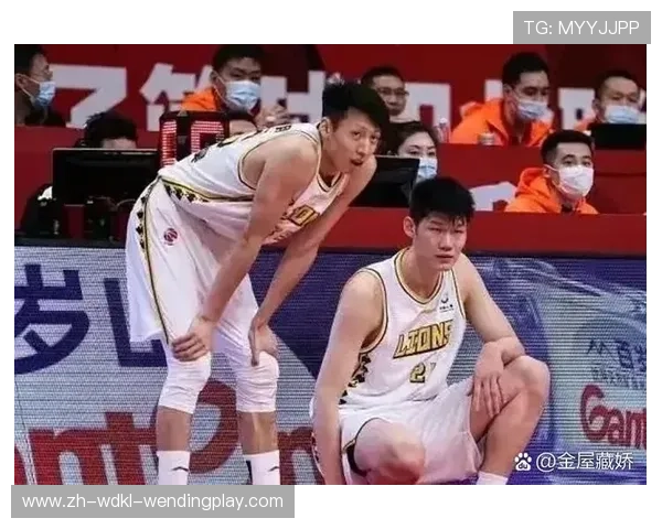 重庆CBA球队队员：重庆队员的阵容与表现